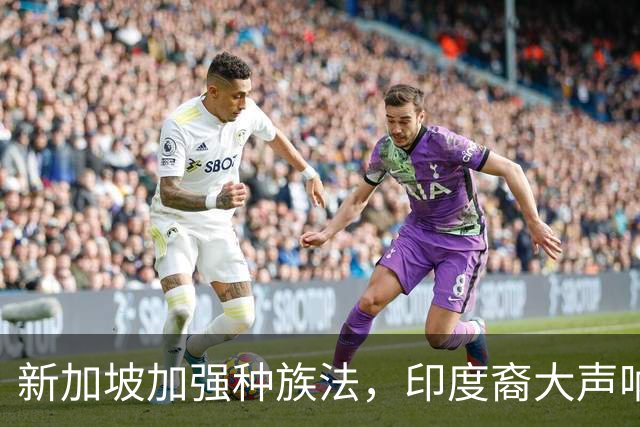 新加坡加强种族法，印度裔大声呐喊“我们应得到尊重