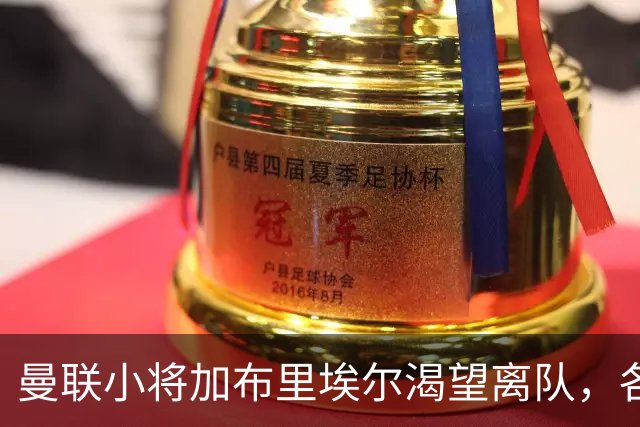 曼联小将加布里埃尔渴望离队，各大豪门虎视眈眈
